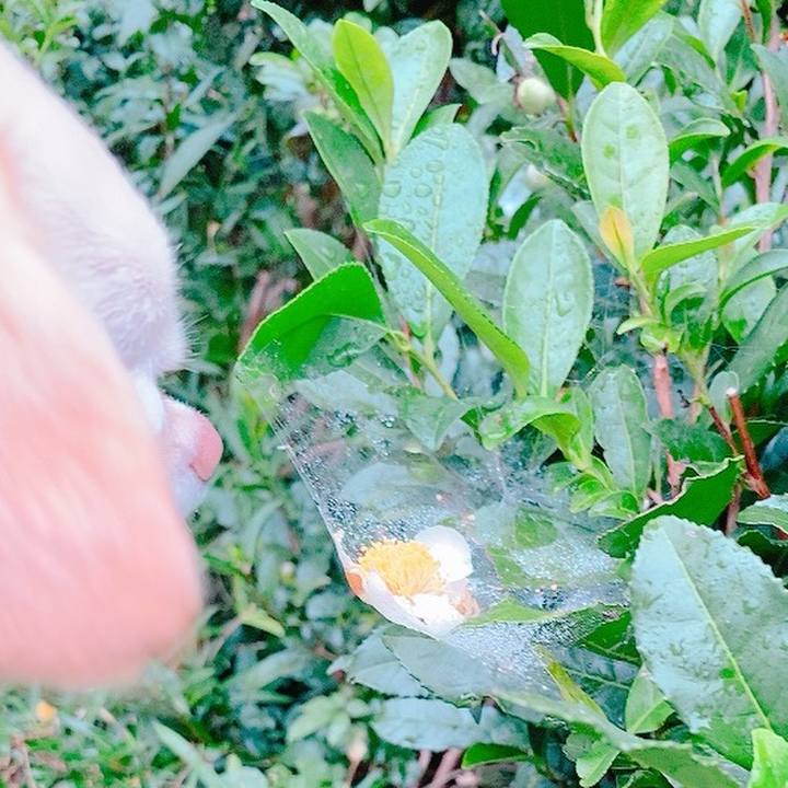 6de515f7 f0ba 4964 8296 f111f5be4aca 1634037381212