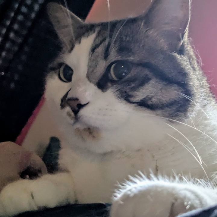 6de53604 0fec 4f6e aeb5 604bbbadb9c1 1751748758053