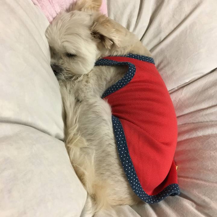 6de57221 005f 4667 a07d cc7a392d928a 1526812155580