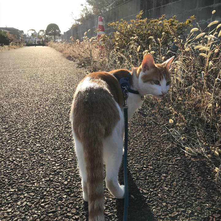 6de57d3b a6d7 42ba b1b5 7424fcd3bf80 1520060319956