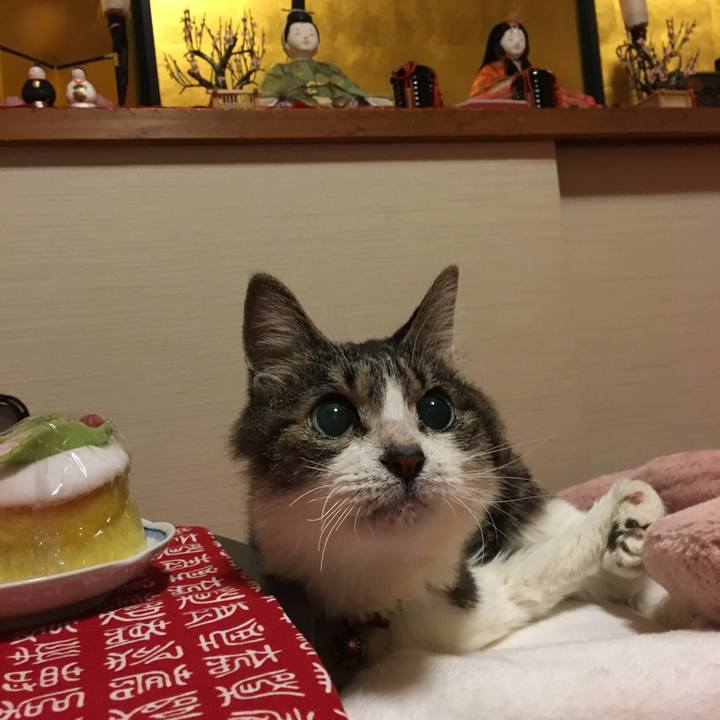 6de59d25 c075 4745 ac61 f87a94bd4b26 1520036605748