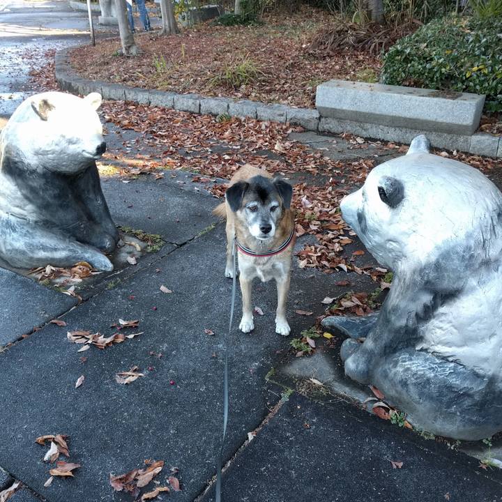 6de5b0eb a82c 423a 90a9 f5911406622e 1512785103457