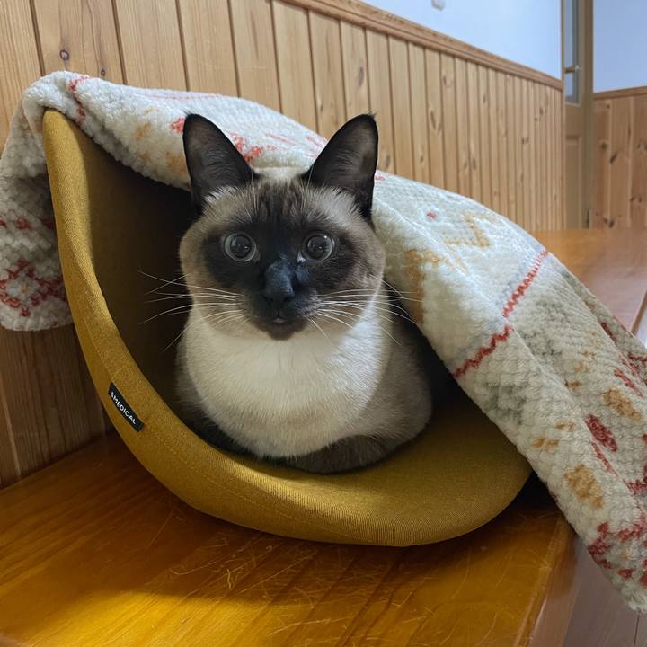 6de5d8e0 c342 48bb 84cb 561b3c906f36 1760735283954