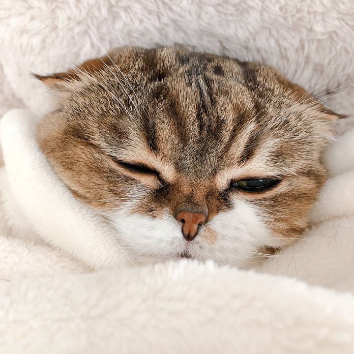 6de61423 3aa4 4b39 985e 869561e7387b 1577333978225