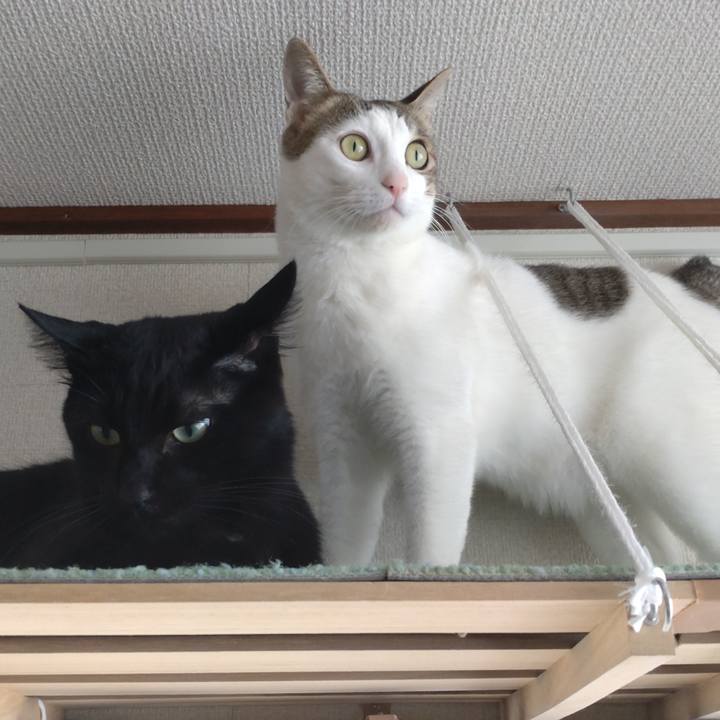 6de672bc f056 4e26 a8d5 b835798126e9 1672624328756