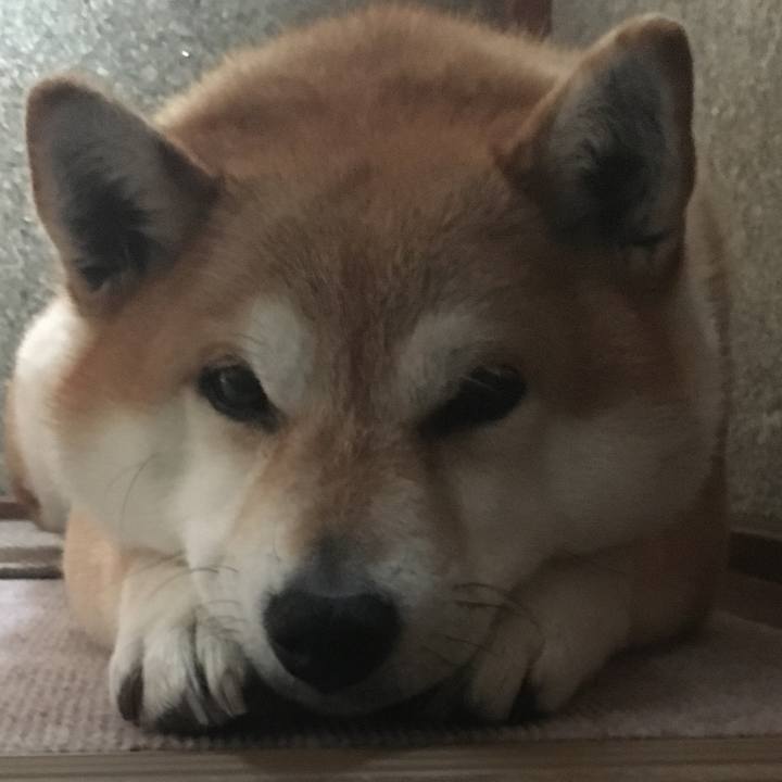 6de71863 4c35 4eca a9a1 a44ed71a6a2f 1615594837691