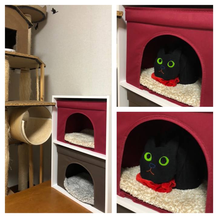 6de732ae 8446 4f6c b588 0671a00b098e 1582321095785