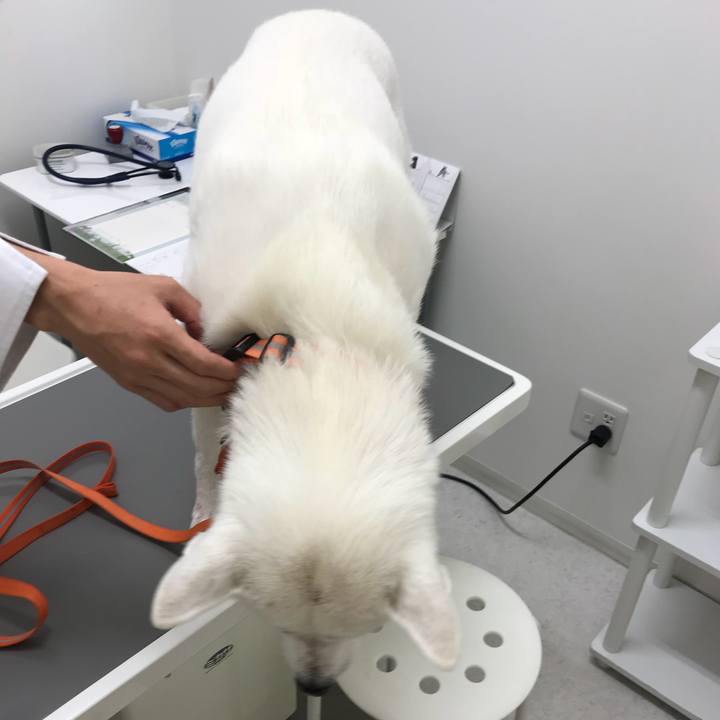 6de73ac7 8433 4a1d add4 b4d914a845e5 1525952927380