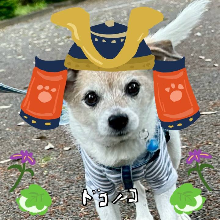 6de75631 eb81 422a ab44 cafa8677aa2d 1714881602855