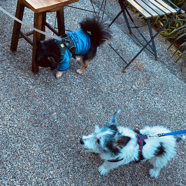 6de786cd de07 46e3 8f9f 2694267d5c0e 1603630501749