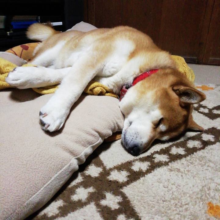 6de795b6 e404 41ed af1b f2bff45e8703 1616939930123