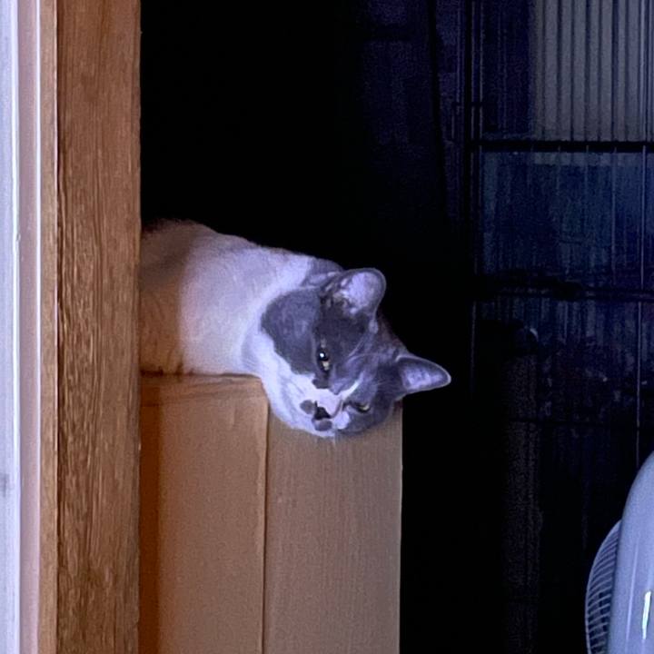 6de7f7fa 8132 446a 9232 afc578c191ed 1661955730936