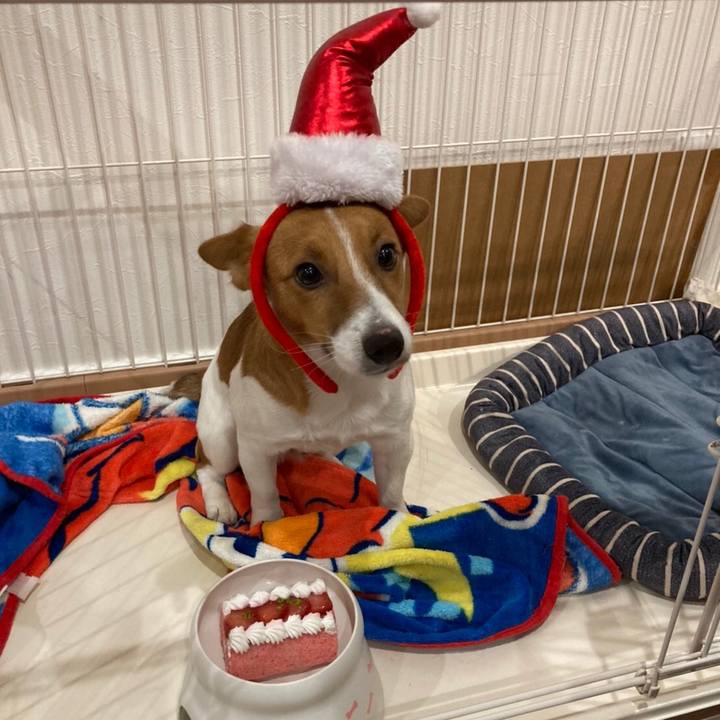 6de7fc02 8d1e 45e5 8825 8933137ec967 1608895698966