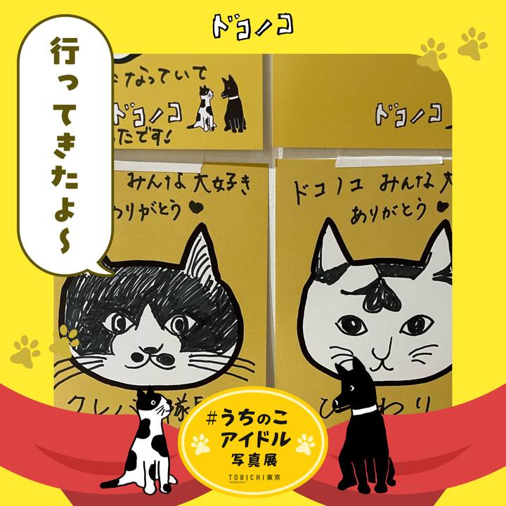 6de808de 6a8c 46a1 b312 49b531bc1473 1761461167635