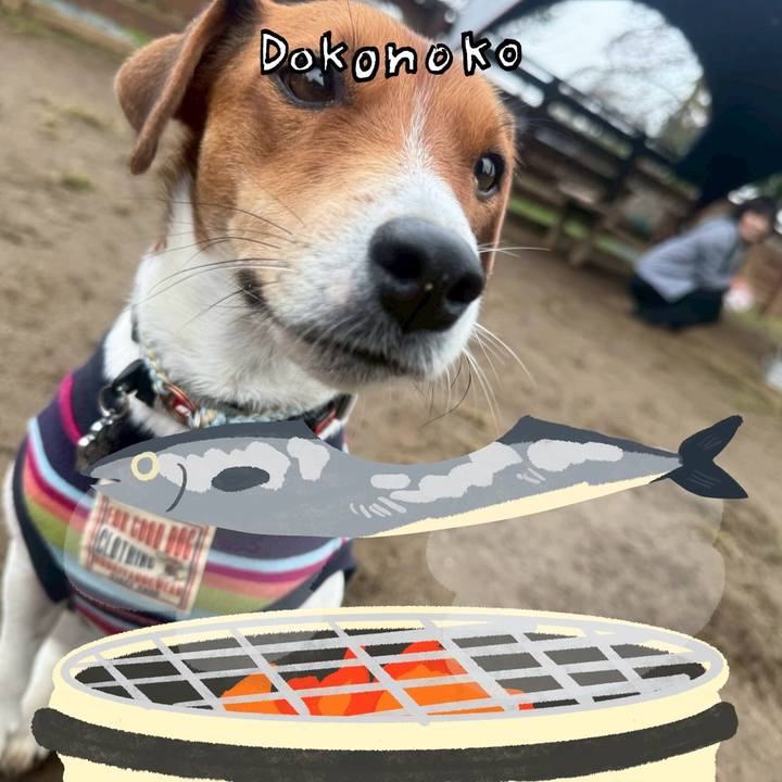 6de81c67 e272 4e56 8aa7 083184109be1 1761421197157