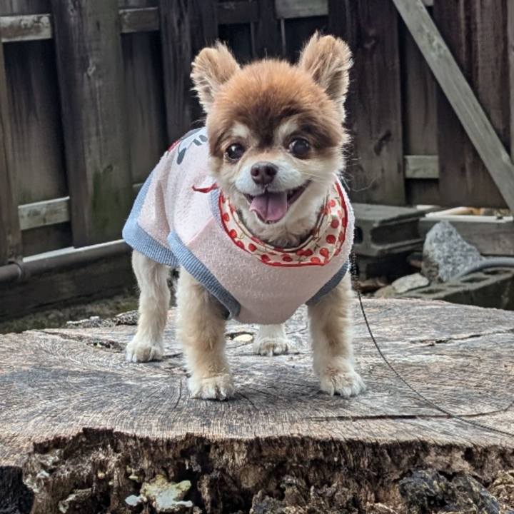 6de84cde 307f 4ecd 8205 2ed5914d0e3f 1772840195932