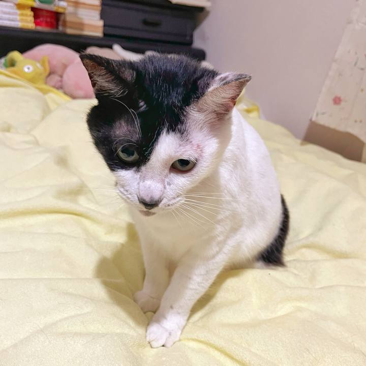 6de85738 e145 4eee b3da 3209bd8317bd 1756421324739