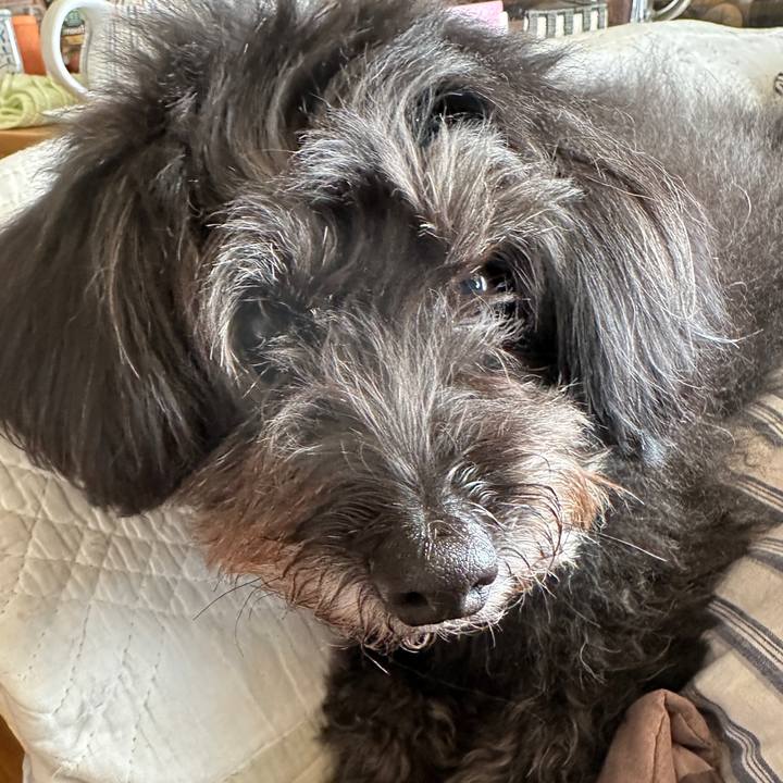 6de89d45 ee75 4544 a2da c062e3924e4d 1702948232780