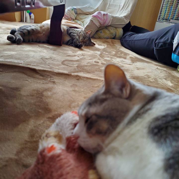 6de91563 e254 46fb b289 13a6bb1c4a0f 1708966481034