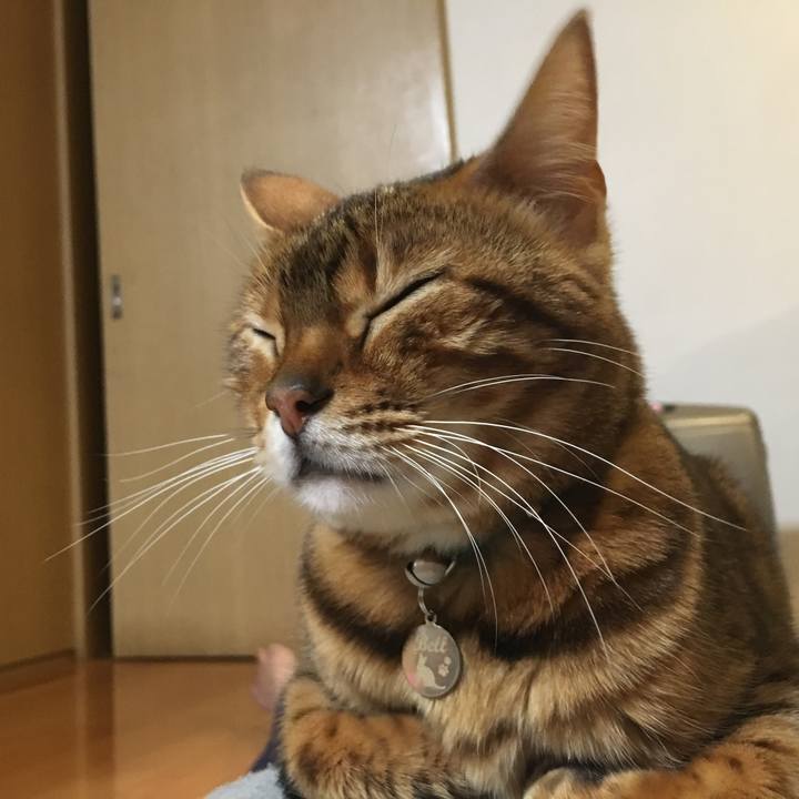 6de94868 14e0 4e7a 9e35 eccf14ae4155 1518536149313