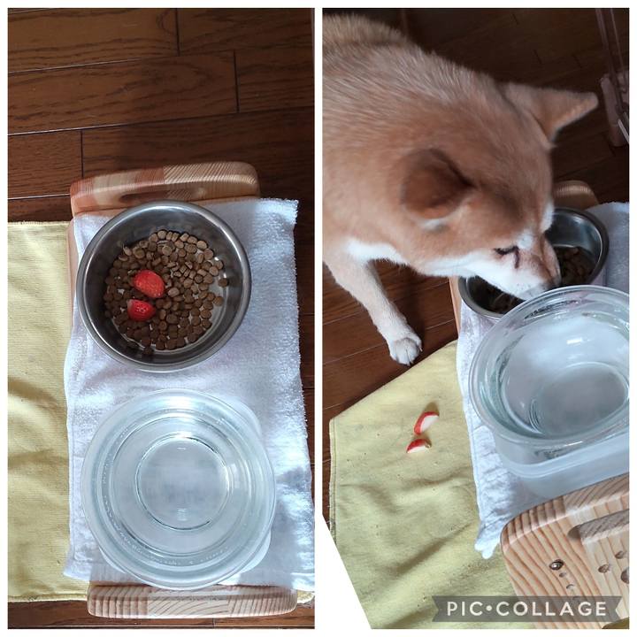 6de96b8d 19a3 425b a766 0d7d21f9cb44 1774145902670