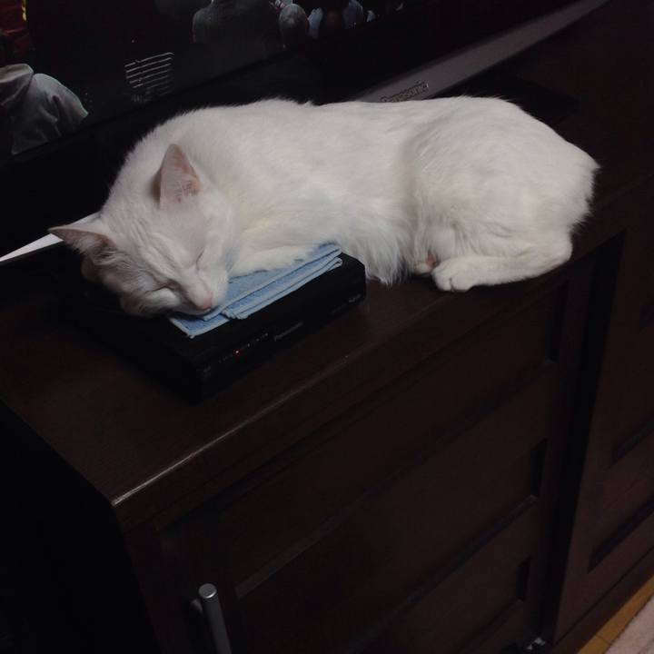 6de976ff 4781 4ee9 b1f9 c3f61280ce29 1642578755487