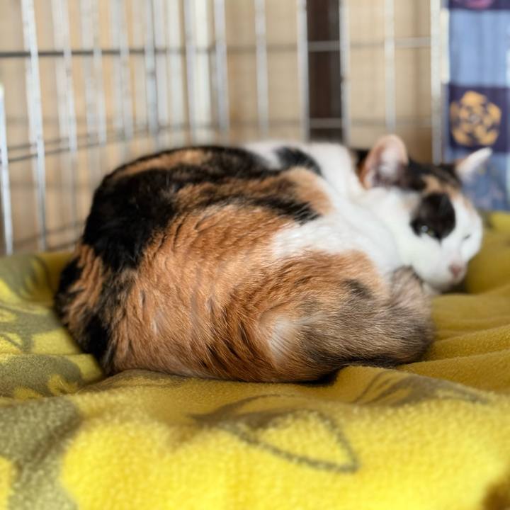 6de99735 8fa3 4e85 848b 4a0857414693 1768787648651