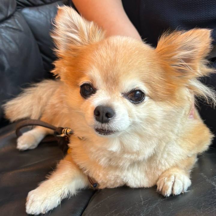 6de99b3d 381c 4903 802d 2f80dd1a57af 1753186391244