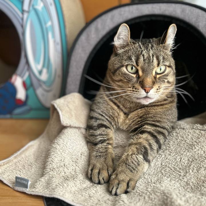 6de9af0d c95d 4169 8227 4fdfa3a44fc1 1766113928715