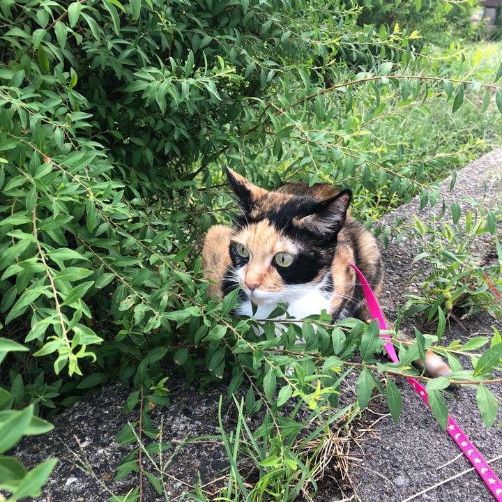 6de9c76b b2f6 4744 a2e3 bf3f047f9072 1600122240339