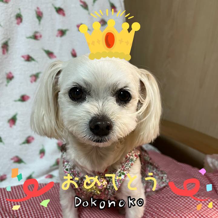 6de9feb4 b698 454d 9a22 56261bdbfc84 1685968014419