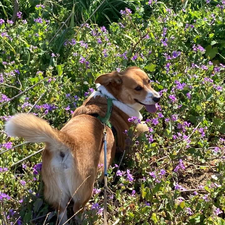 6dea172d 383a 4ce8 926e 3201d38e88e6 1710732421029