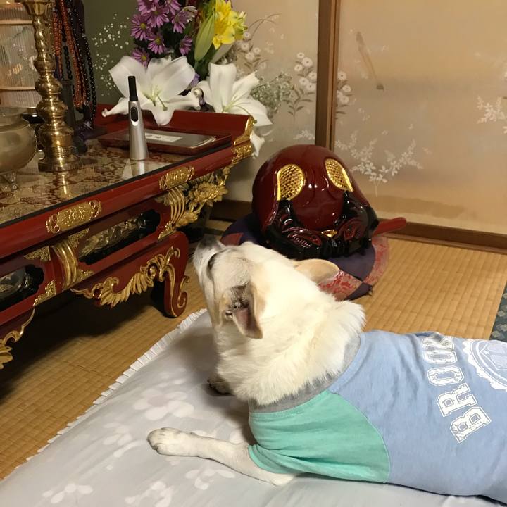 6dea4ac3 89f4 4be9 bb7c 5fc3728a7d36 1573041609619