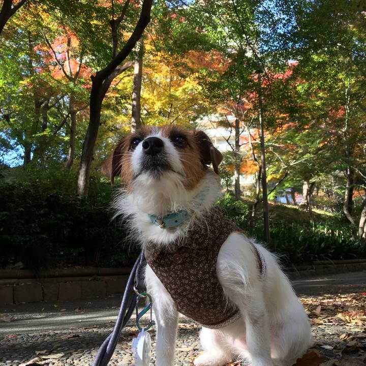 6dea85cf 594d 401f abd2 f6946064fb0d 1511840842353