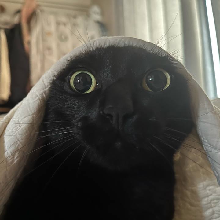 6deaa87c d3aa 405d ad5b 00f2e4b3d1bb 1750032735923