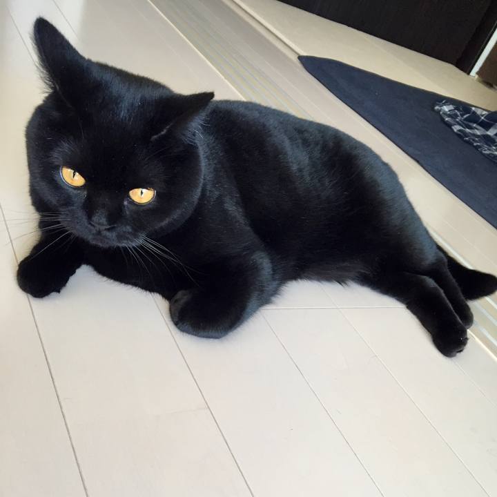 6deabdc1 be0d 4b25 92a6 1c71096824dd 1520988366696