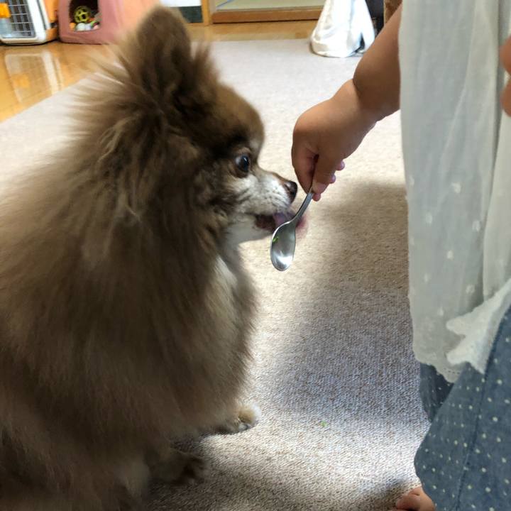 6dead546 b220 4538 9cab de41872c78b3 1626735312302