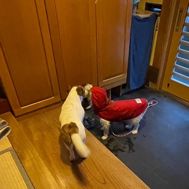 6deb1715 da85 4208 b242 e48eecd3f6a4 1736205300648