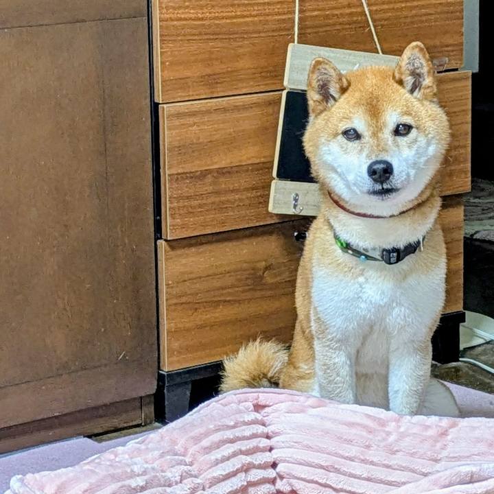 6deb2548 4f46 4ba3 9a74 07c5264008da 1749541044913