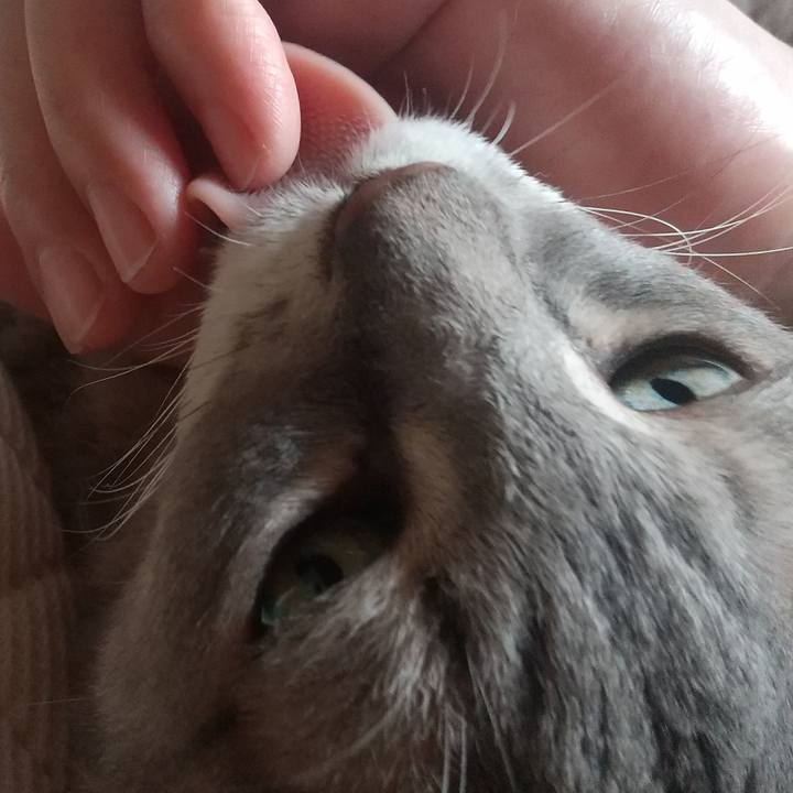 6deb307e 55bd 4709 8710 52931a77e32b 1695517087933