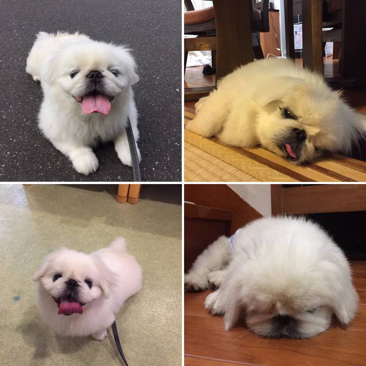 6deb3397 3174 43a4 9e3e 45822a74a31a 1569454605176