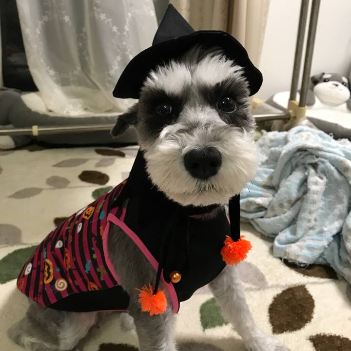 6deb6398 2f8f 45e0 9ac6 5f0675c319ce 1509447333966