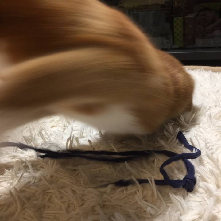 6deb6d9e 2a09 429a b463 b0429251a5a5 1570284833935