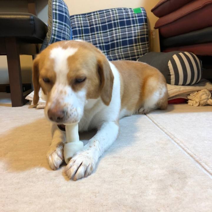 6deb8eae 7c87 4bff 9475 f8925aef6d1c 1618658386590