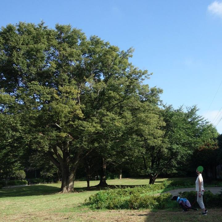 6debe02d 1e7c 4d06 9c8b 7bacc85074ab 1628034689963