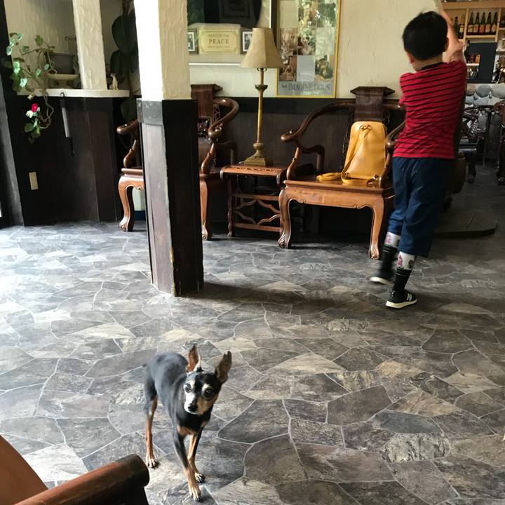 6debebf3 d1a8 401f a858 175319d9031c 1535890909721