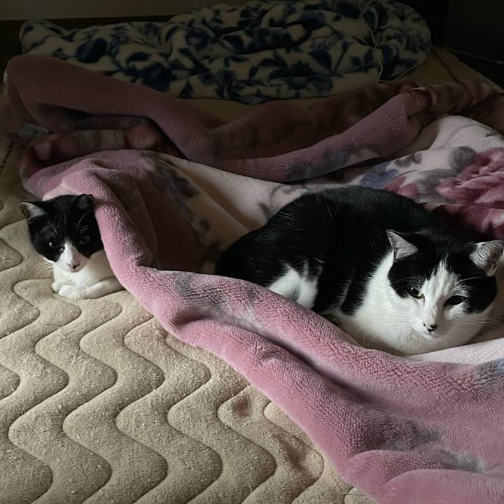 6debf0c9 21fa 44ae 8f26 afab38375945 1681514546056