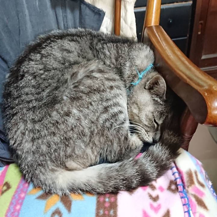 6dec4071 a62d 4b7f 879f 35c13abf39cc 1574467527818