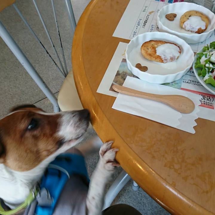 6dec5b25 0755 464d 9da3 88161b81af34 1551762721862