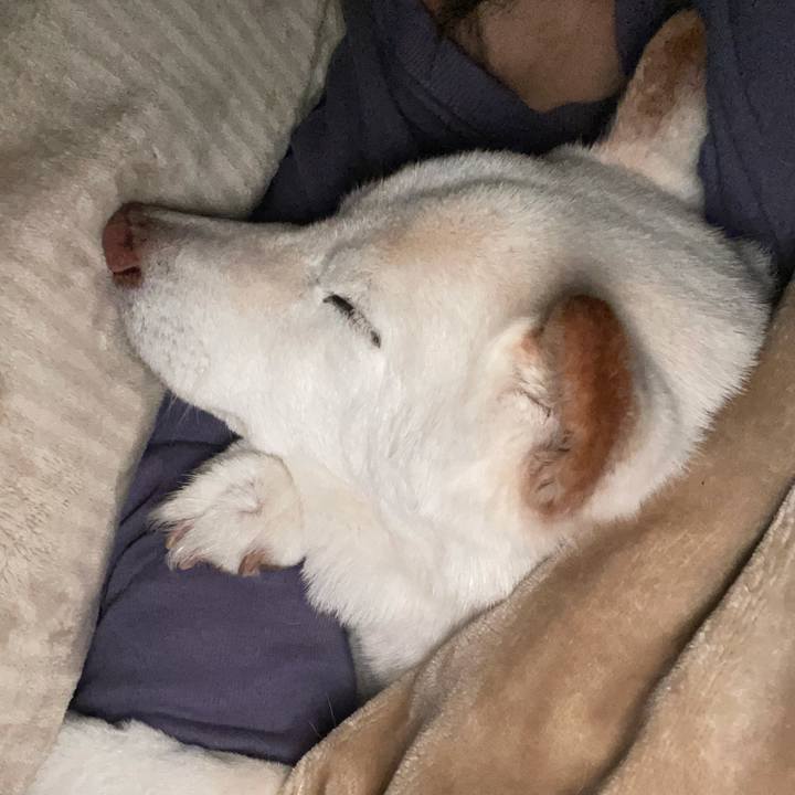 6dec69e2 32f5 471a 9e84 6f025a27c314 1641475839422